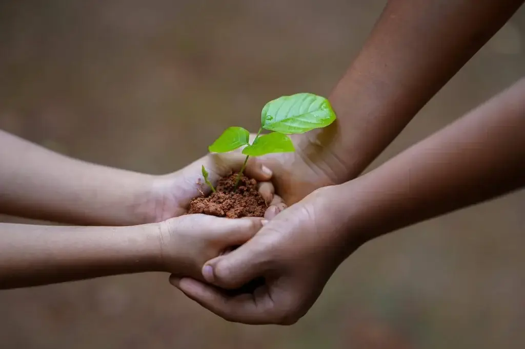 hands holding plant