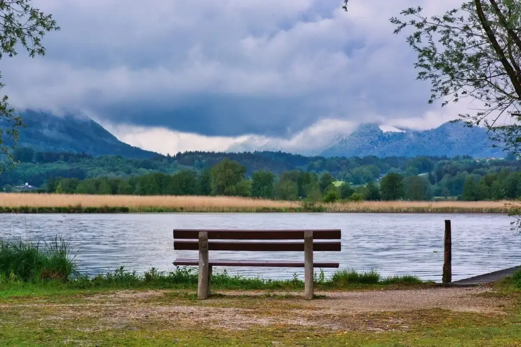 lake view